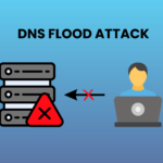 DNS Flood attack