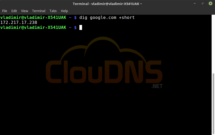 dig command + short